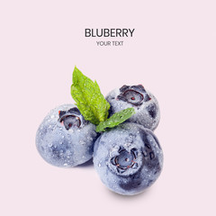 Creative blueberries layout with mint leaf and water drops . Bilberry fruit food concept. 