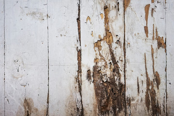 old white wood texture with natural patterns background