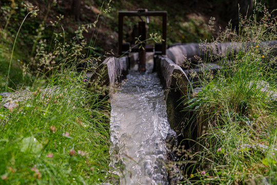Wandern im Wald neben einer Suone natur pur