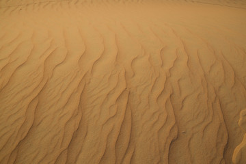 UAE. Desert  background close up