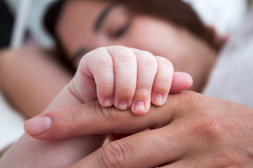 Mom holds the baby by the hand. Brunette woman with baby closeup