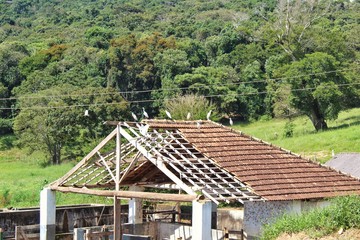 Repouso das gar&ccedil;as