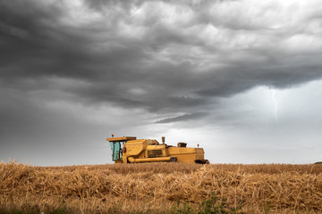 Obraz premium combine in action before the storm