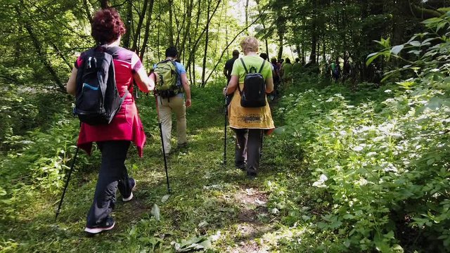 LASKO, SLOVENIA, 2019.04.12: Hiking through forrest on small path full of leaves. Filmed while taking a group spring hike in slow motion hd.