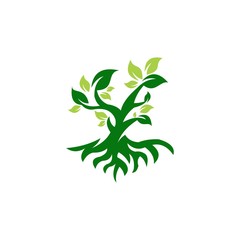 Tree icon logo design template