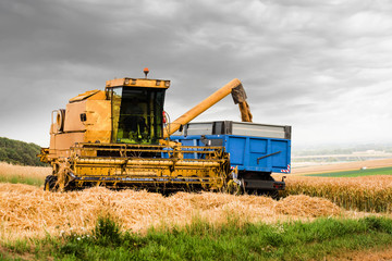combine and a tractor during the harvest