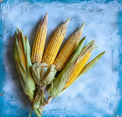 Corn bouquet on bright background