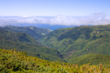 Fototapeta na wymiar Madeira island, Portugal, green hills