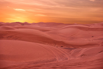 Sunset in sand desert, United Arab Emirates