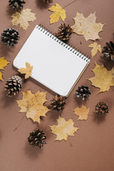 Autumn composition. Notebook, autumn maple leaves and bumps on brown background. Flat lay, top view, copy space.