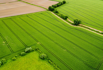 Champs cultiv&eacute;s 4