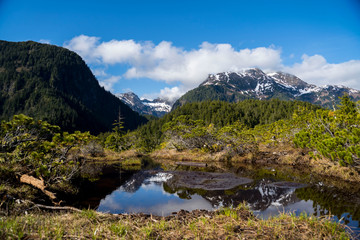 Fototapeta na wymiar Alaska Landscape