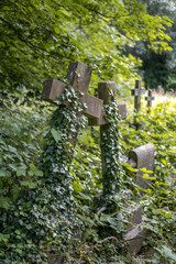 stone crosses covered by vegetation in a cemetery