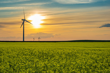 Sunset over wind turbines on the prairies in Saskatchewan, Canada