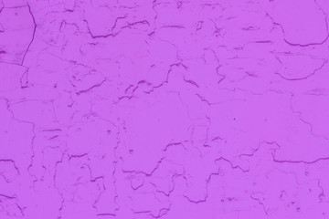 Obraz premium The texture of the old peeling paint is magenta.
