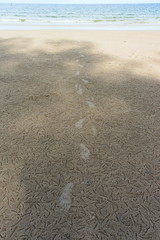 footprints in the sand