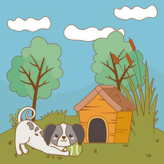 Dog cartoon design vector illustrator
