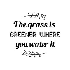 The grass is greener where you water it. Calligraphy saying for print. Vector Quote 