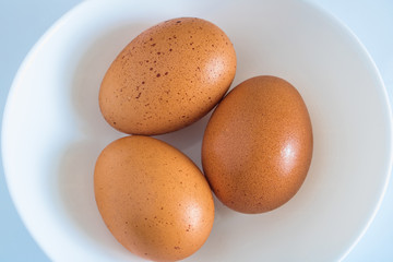 chicken egg, three chicken eggs isolated on white plate background, white plate with chicken eggs on blue background,