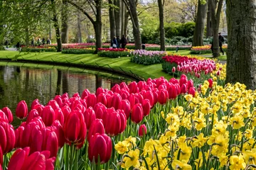 Canvas schilderij Tuin Springtime on full display in Holland as plots of tulips bloom near a pond in Keukenhof Gardens  © Don Masten II