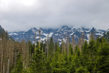 View of Tatra mounains.Tatra mountains in the morning.