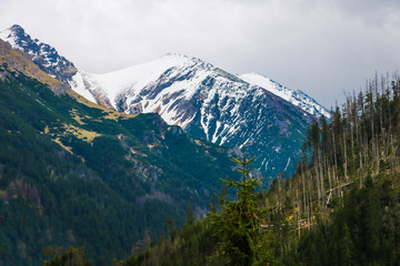 Tatra National Park, Poland. Famous Mountains Lake Morskie Oko Or Sea Eye Lake In Summer Morning. Beautiful Scenic View. European Nature.
