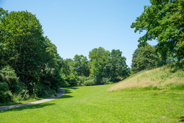 Park landscape. Summer green meadow with long lane