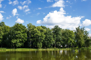 Fototapeta na wymiar Summer lake in forest landscape. Blue cloudy sky over water surface panoramic view.