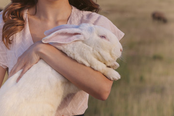 White rebbit in woman hands, cruelty free,  not tested on animals concept