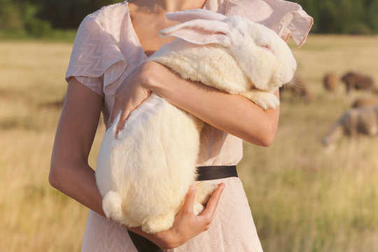 White rebbit in woman hands, cruelty free,  not tested on animals concept