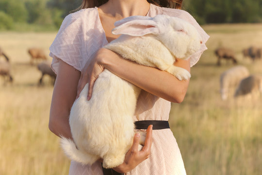 White rebbit in woman hands, cruelty free,  not tested on animals concept