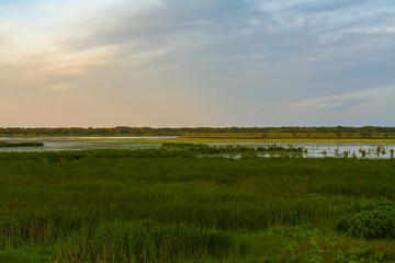 Fototapeta premium Wschód słońca w schronisku Dixon Waterfowl Refuge