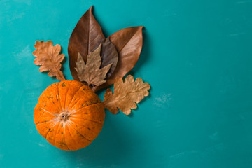 top view flat lay pumpkin and autumn leaves  on a blue background