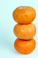 Tower of pumpkins isolated on a blue background