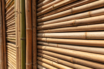 Bamboo twig wall as abstract background