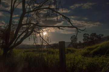 Dark Sunset