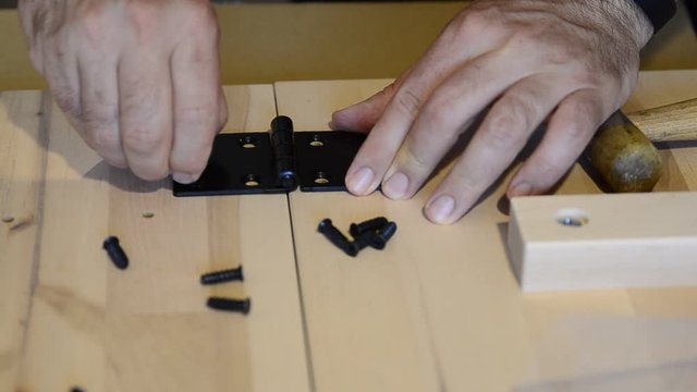 Fixing with a black metal hinge on two light wooden boards. One hand holds the hinge in place and the other positions the screws.