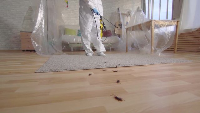 pest control worker with sprayer standing at home slow mo,concept of disinfection of premises