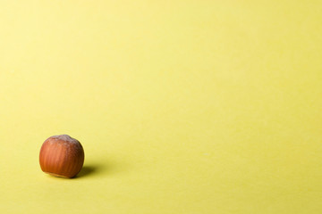 A hazelnut isolated on yellow background.