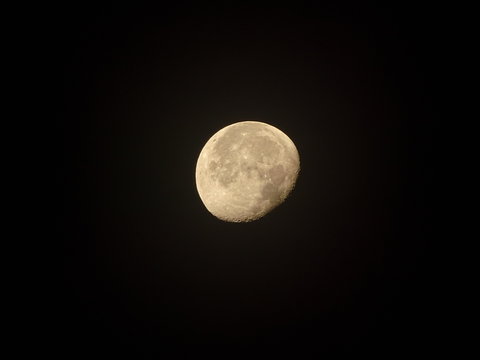 luna creciente color marfil sobre cielo negro