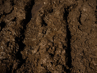 closeup of  muddy soil