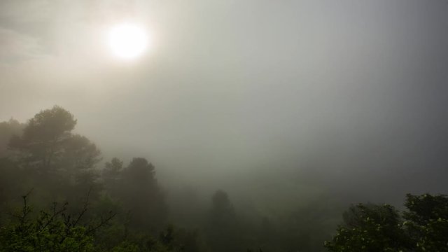 Mist rolls over the verdant landscapes of Bages in Barcelona, revealing lush greenery and vibrant scenery as the sun breaks through the clouds