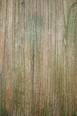 Old green wood wall texture background. Wood texture