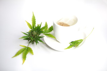 hemp tea .  medical cannabis leaf
