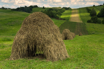 Sianokosy © piotrwolak