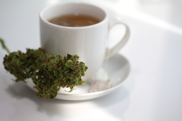 hemp tea .  medical cannabis leaf