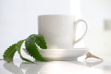 hemp tea .  medical cannabis leaf