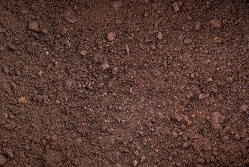 Dark brown fertile soil with peat - background for agriculture