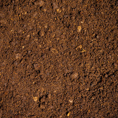 Dark brown fertile soil with peat - background for agriculture