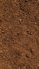 Dark brown fertile soil with peat - background for agriculture